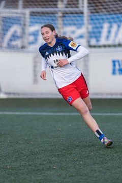 Bild 381 - wBJ Hamburger SV - Holstein Kiel : Ergebnis: 8:0
